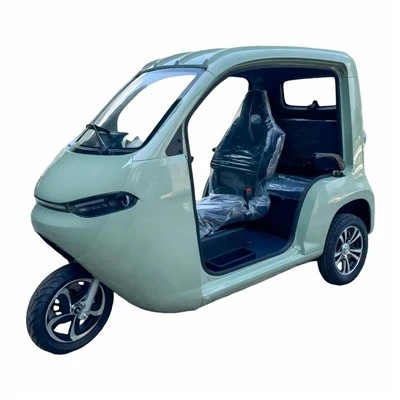 Electric Leisure Tricycle