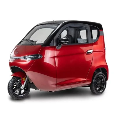 Enclosed 3-Wheel Electric Car