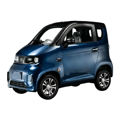 Mini Electric Car