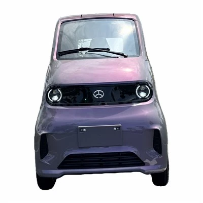 Low-Speed Electric Car